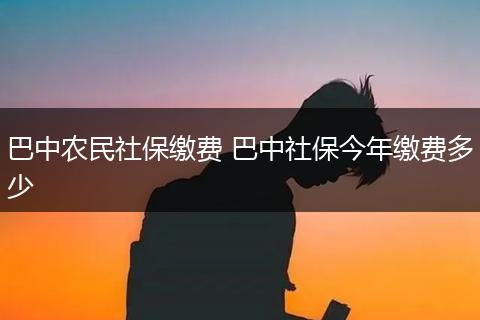 巴中农民社保缴费 巴中社保今年缴费多少