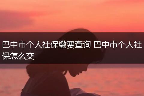 巴中市个人社保缴费查询 巴中市个人社保怎么交