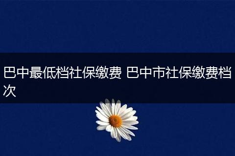 巴中最低档社保缴费 巴中市社保缴费档次