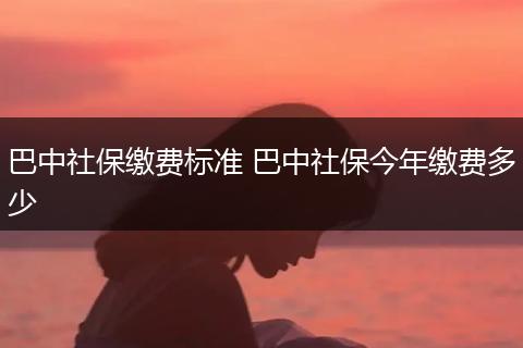 巴中社保缴费标准 巴中社保今年缴费多少