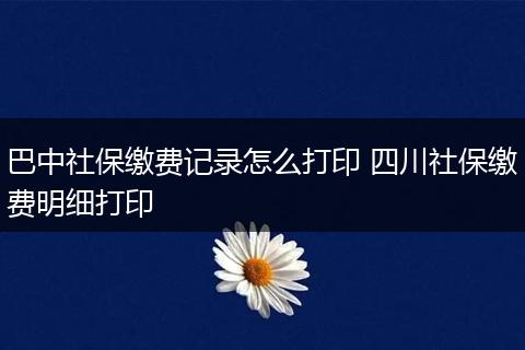 巴中社保缴费记录怎么打印 四川社保缴费明细打印