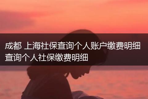 成都 上海社保查询个人账户缴费明细 查询个人社保缴费明细