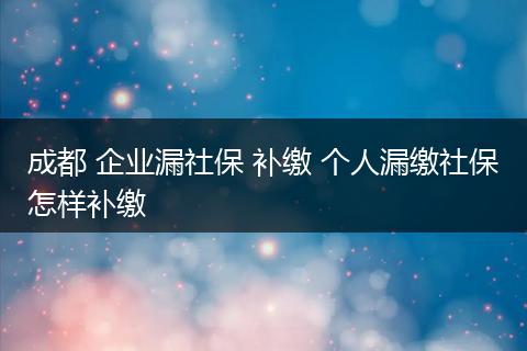 成都 企业漏社保 补缴 个人漏缴社保怎样补缴