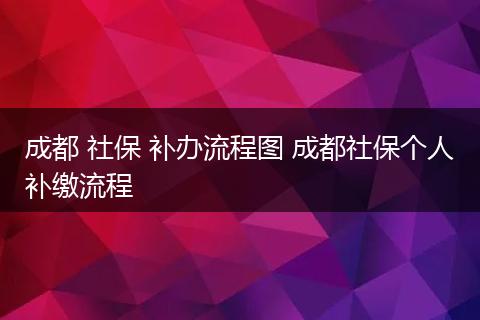 成都 社保 补办流程图 成都社保个人补缴流程
