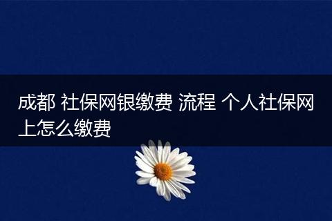 成都 社保网银缴费 流程 个人社保网上怎么缴费