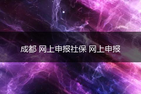 成都 网上申报社保 网上申报