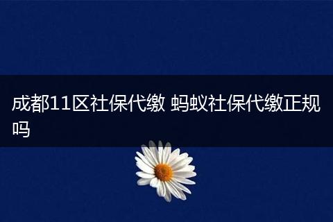成都11区社保代缴 蚂蚁社保代缴正规吗