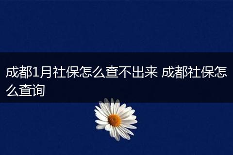 成都1月社保怎么查不出来 成都社保怎么查询