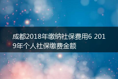 成都2018年缴纳社保费用6 2019年个人社保缴费金额