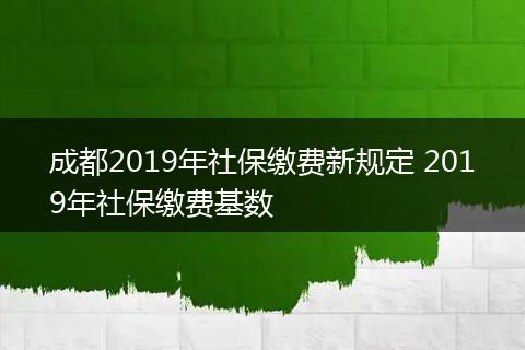 成都2019年社保缴费新规定 2019年社保缴费基数