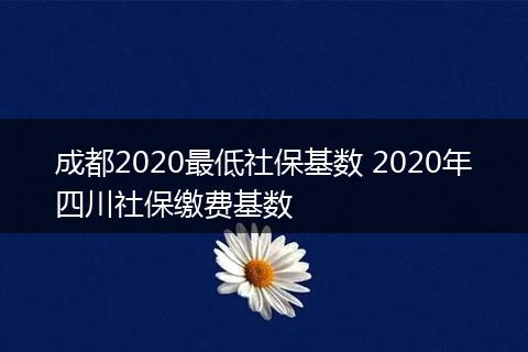 成都2020最低社保基数 2020年四川社保缴费基数