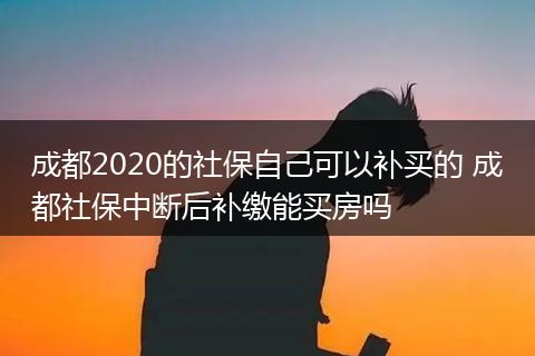 成都2020的社保自己可以补买的 成都社保中断后补缴能买房吗