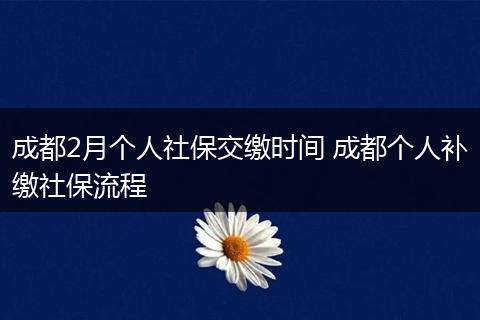 成都2月个人社保交缴时间 成都个人补缴社保流程