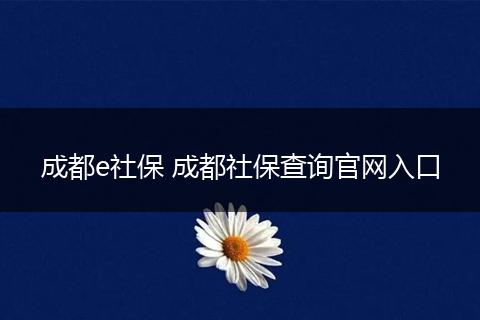 成都e社保 成都社保查询官网入口