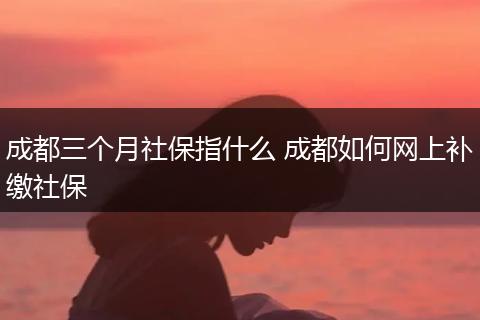 成都三个月社保指什么 成都如何网上补缴社保