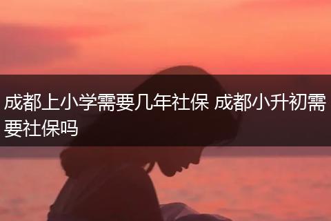 成都上小学需要几年社保 成都小升初需要社保吗