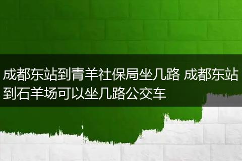 成都东站到青羊社保局坐几路 成都东站到石羊场可以坐几路公交车