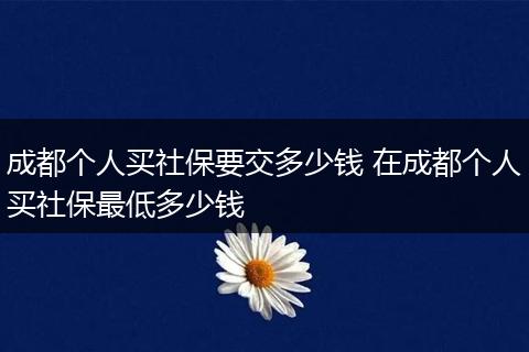 成都个人买社保要交多少钱 在成都个人买社保最低多少钱