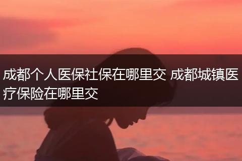 成都个人医保社保在哪里交 成都城镇医疗保险在哪里交