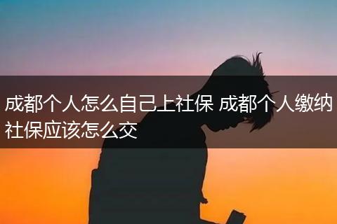 成都个人怎么自己上社保 成都个人缴纳社保应该怎么交