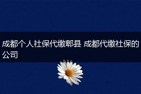 成都个人社保代缴郫县 成都代缴社保的公司
