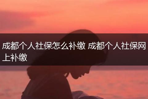 成都个人社保怎么补缴 成都个人社保网上补缴