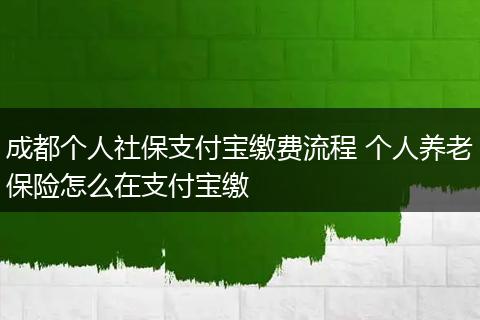 成都个人社保支付宝缴费流程 个人养老保险怎么在支付宝缴