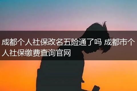 成都个人社保改名五险通了吗 成都市个人社保缴费查询官网
