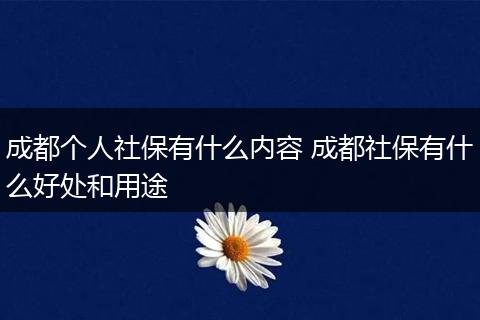 成都个人社保有什么内容 成都社保有什么好处和用途