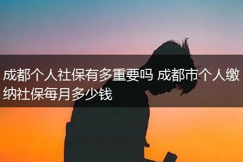 成都个人社保有多重要吗 成都市个人缴纳社保每月多少钱