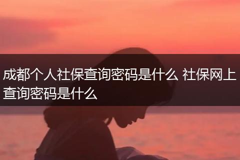 成都个人社保查询密码是什么 社保网上查询密码是什么