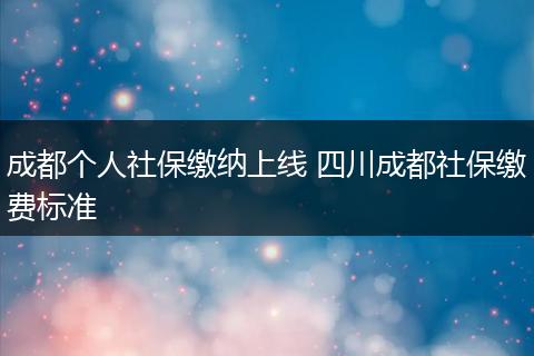 成都个人社保缴纳上线 四川成都社保缴费标准