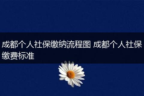 成都个人社保缴纳流程图 成都个人社保缴费标准