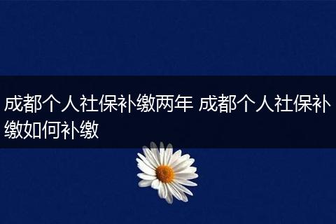 成都个人社保补缴两年 成都个人社保补缴如何补缴