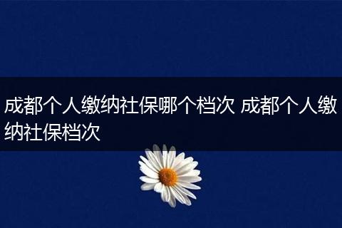 成都个人缴纳社保哪个档次 成都个人缴纳社保档次