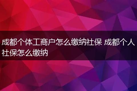 成都个体工商户怎么缴纳社保 成都个人社保怎么缴纳
