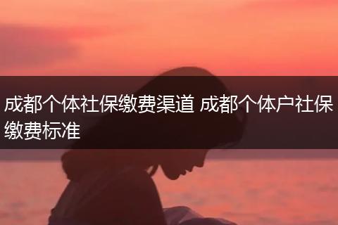 成都个体社保缴费渠道 成都个体户社保缴费标准