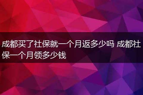成都买了社保就一个月返多少吗 成都社保一个月领多少钱