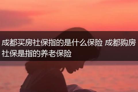 成都买房社保指的是什么保险 成都购房社保是指的养老保险