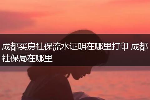 成都买房社保流水证明在哪里打印 成都社保局在哪里
