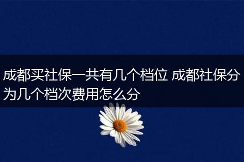 成都买社保一共有几个档位 成都社保分为几个档次费用怎么分