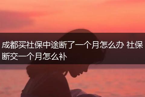 成都买社保中途断了一个月怎么办 社保断交一个月怎么补