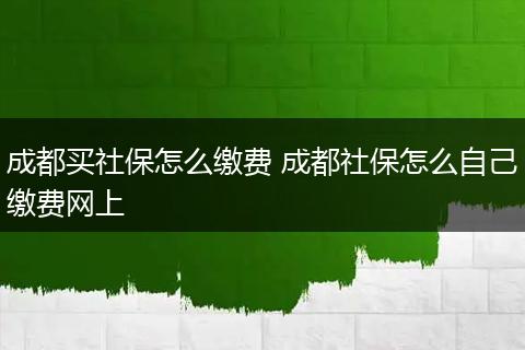 成都买社保怎么缴费 成都社保怎么自己缴费网上