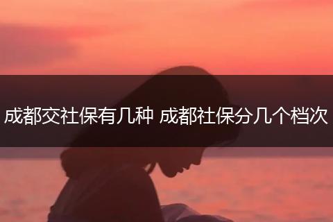 成都交社保有几种 成都社保分几个档次