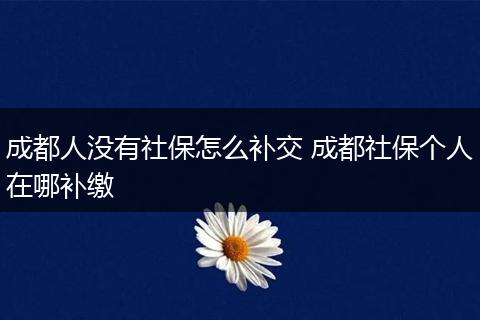 成都人没有社保怎么补交 成都社保个人在哪补缴