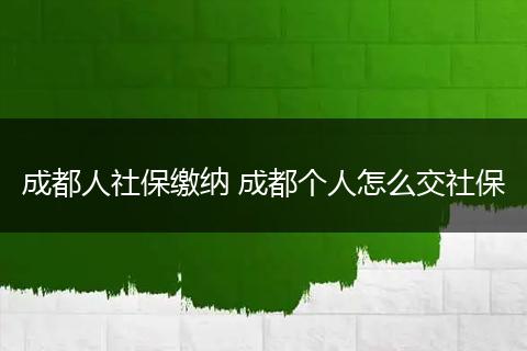成都人社保缴纳 成都个人怎么交社保