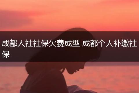 成都人社社保欠费成型 成都个人补缴社保