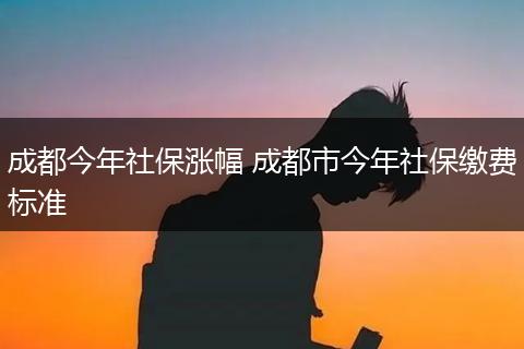 成都今年社保涨幅 成都市今年社保缴费标准