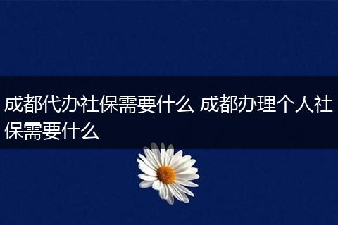 成都代办社保需要什么 成都办理个人社保需要什么