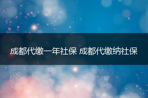 成都代缴一年社保 成都代缴纳社保